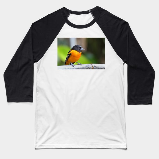 Baltimore Oriole Baseball T-Shirt by Carole-Anne